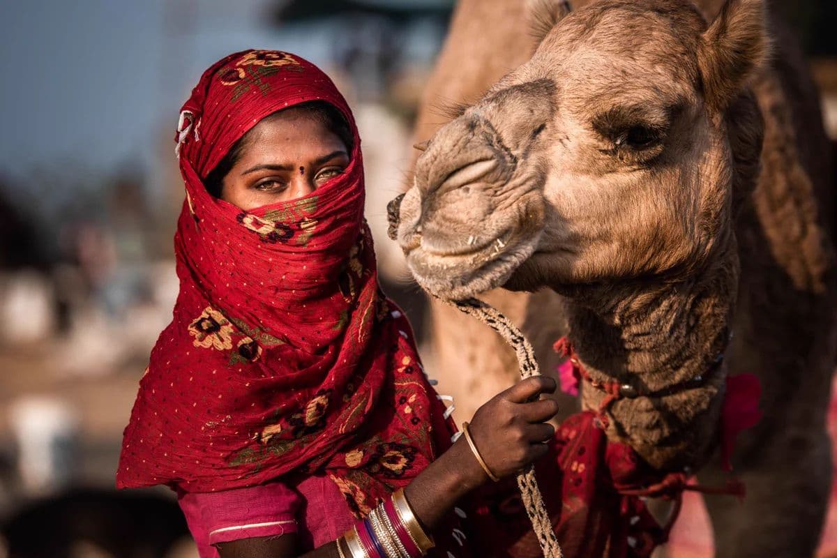 A woman with a camel in rural Rajasthan